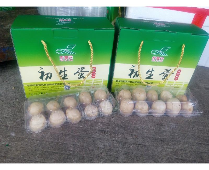新富民初生蛋-源于天然 滋補(bǔ)有道。